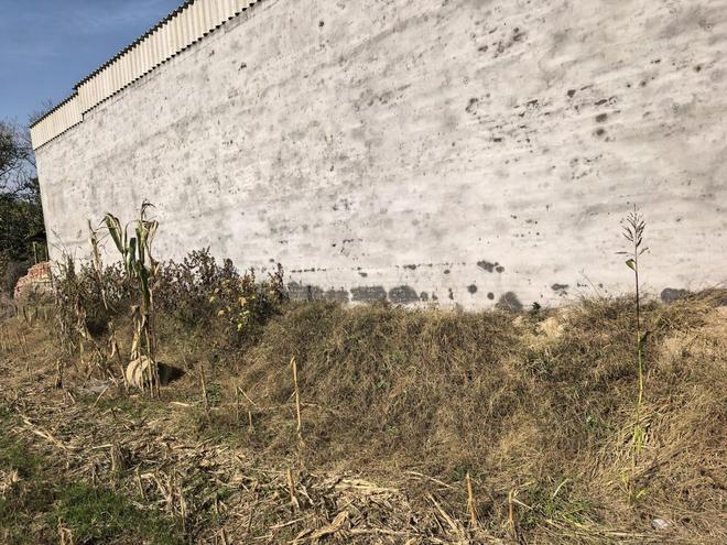 體育博彩:“一家五口被鄰居殺害案”被告人撤廻上訴申請 死刑判決報請最高法核準